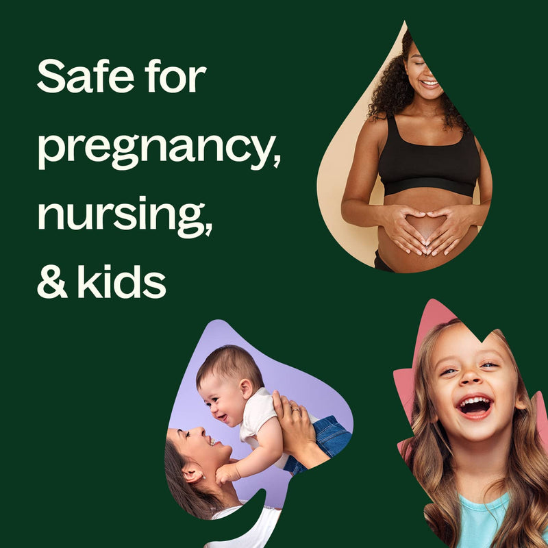 Plant Therapy Scots Pine Essential Oil Essential Oil