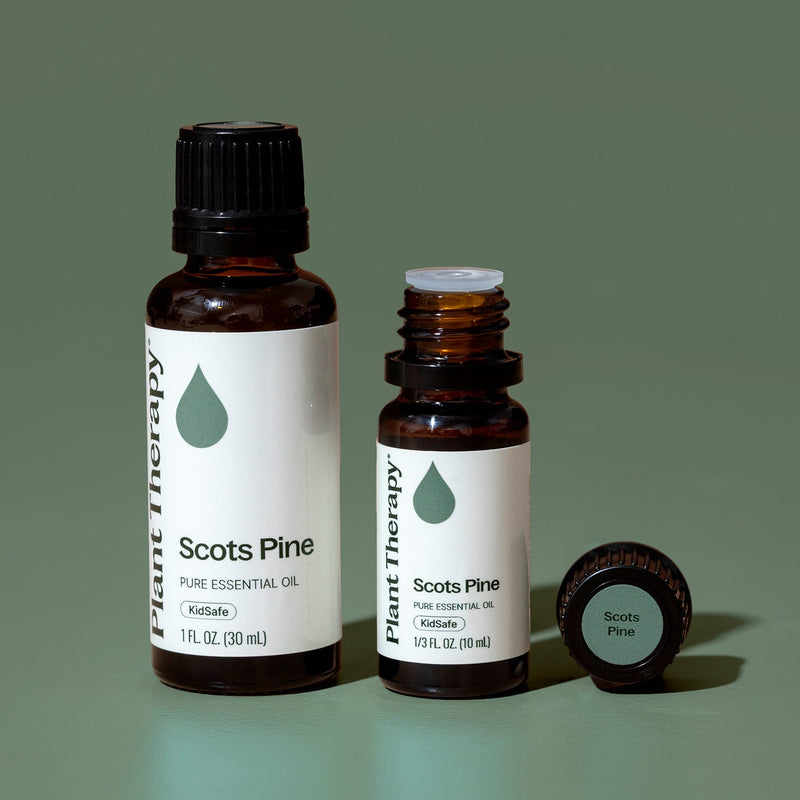 Plant Therapy Scots Pine Essential Oil Essential Oil