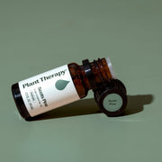 Plant Therapy Scots Pine Essential Oil Essential Oil