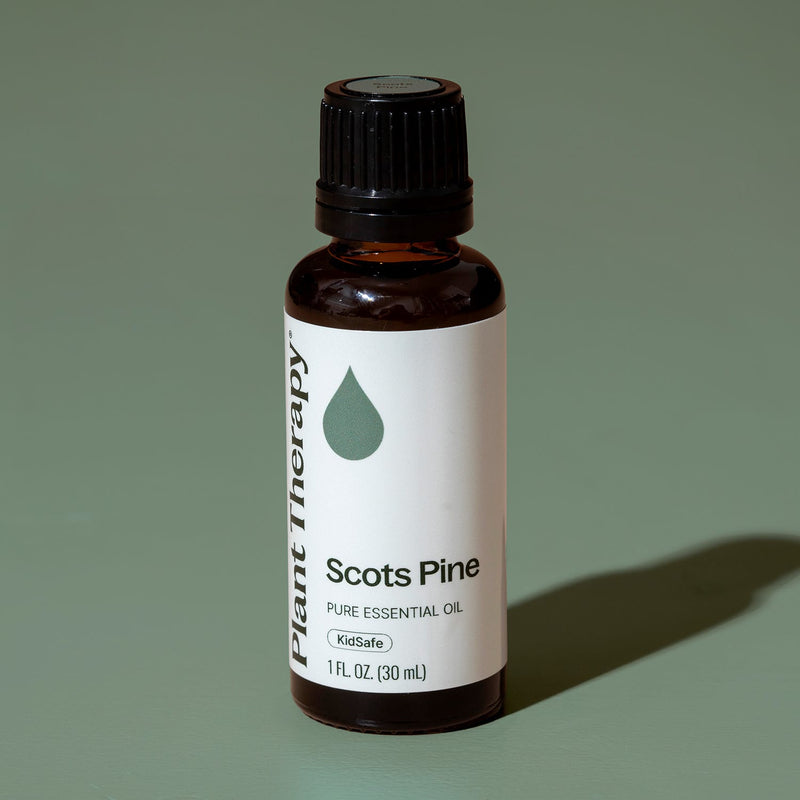 Plant Therapy Scots Pine Essential Oil Essential Oil