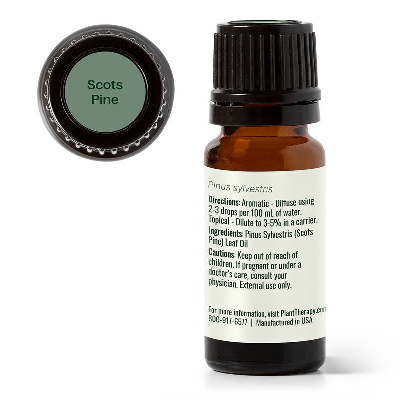 Plant Therapy Scots Pine Essential Oil Essential Oil
