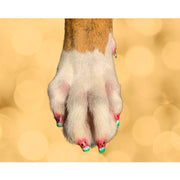Warren London Pawdicure Polish Pens - Choose From 13 Colors! - Dog Nail Polish Dog Nail Polish