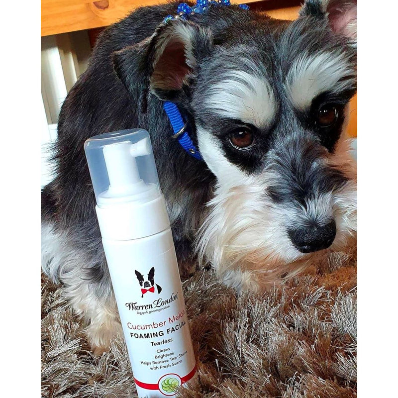 Warren London Cucumber Melon Foaming Facial For Dogs Dog Shampoo