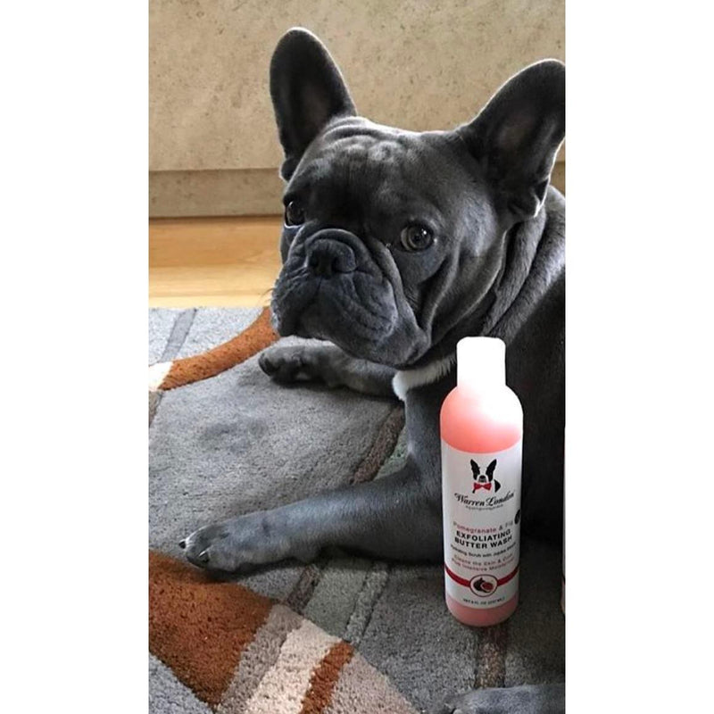 Warren London Exfoliating Butter Wash Dog Shampoo Gallons - With Natural Jojoba Beads Spa Product