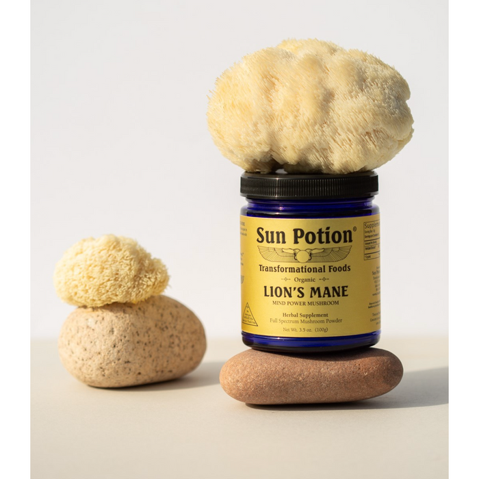 Sun Potion - Lion'S Mane (Organic) 100 Grams