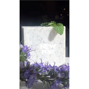 Heliotrope San Francisco Exfoliating Bath Bars Soap