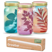 Modern Sprout Garden Jars - Organic Herbs Indoor Garden Kit