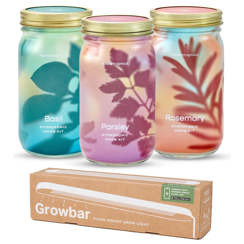 Modern Sprout Garden Jars - Organic Herbs Indoor Garden Kit