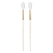 Prolux Cosmetics Highlight Brush brush