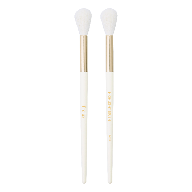 Prolux Cosmetics Highlight Brush brush