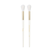 Prolux Cosmetics Highlight Brush brush