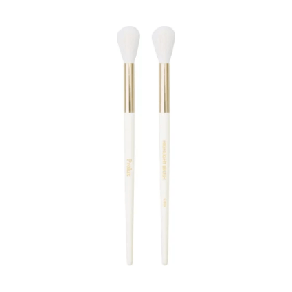 Prolux Cosmetics Highlight Brush brush