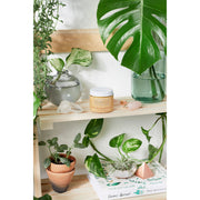 Butter Me Up Organics Sea Buckthorn Facial Moisturizer / Organic Face Moisturizer / Facial Care / Face Nutrition Face