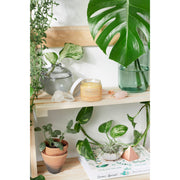 Butter Me Up Organics Sea Buckthorn Facial Moisturizer / Organic Face Moisturizer / Facial Care / Face Nutrition Face