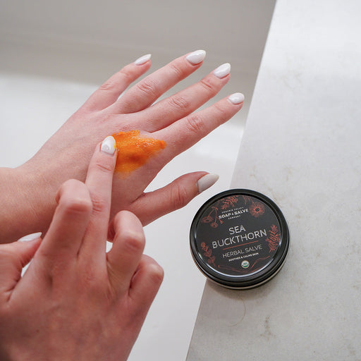 Chagrin Valley Soap & Salve Salve: Sea Buckthorn Healing Salve