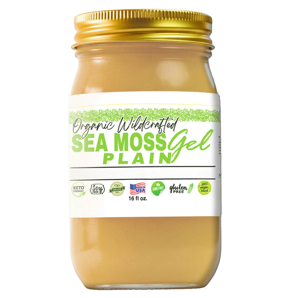 Sea Moss Lyfe Plain Sea Moss Gel   16oz