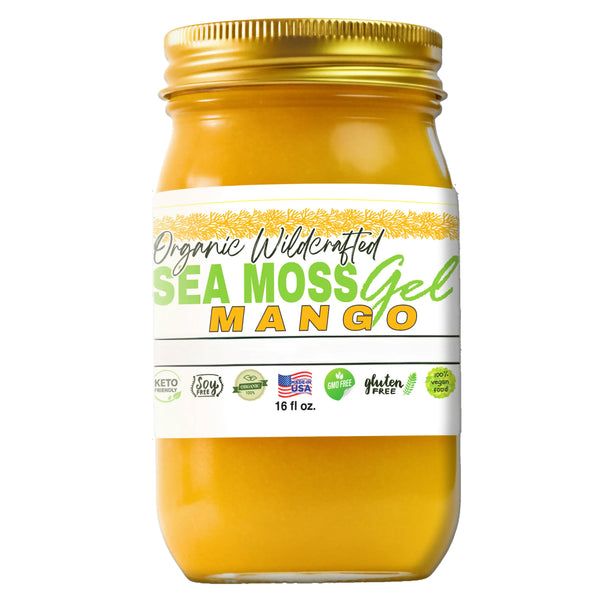 Sea Moss Lyfe Mango Sea Moss Gel   16oz