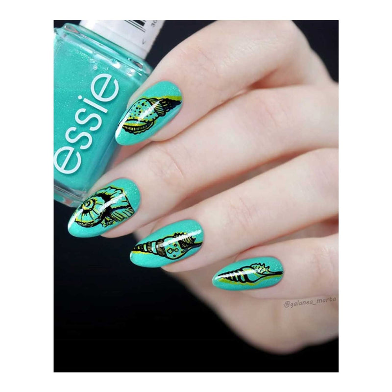 UberChic Beauty Seashells Aplenty Stamping Plate