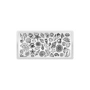 UberChic Beauty Seashells Aplenty Stamping Plate