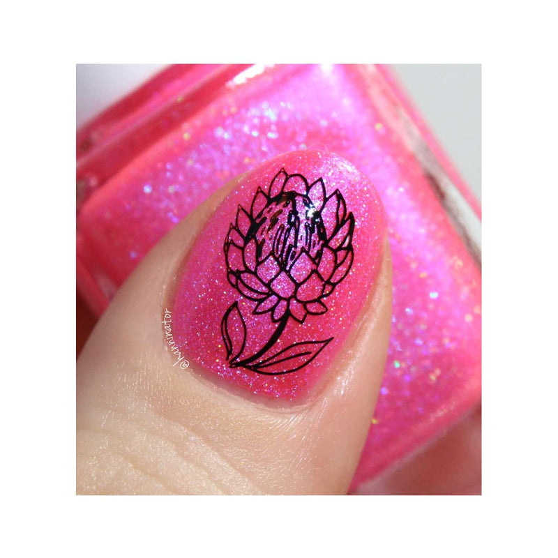 UberChic Beauty Secret Garden-02 Stamping Plate