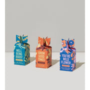 Modern Sprout Seed Bomb Playful Planting