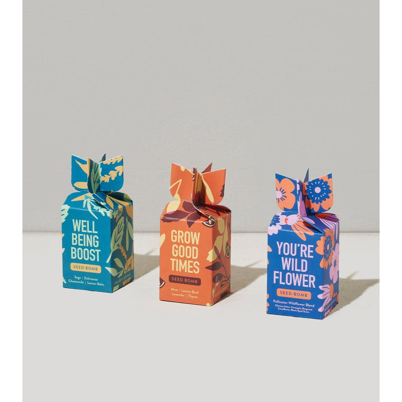 Modern Sprout Seed Bomb Playful Planting
