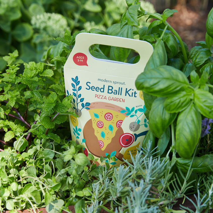 Modern Sprout Seed Ball Kits 4.5oz. — Pasteur Pharmacy