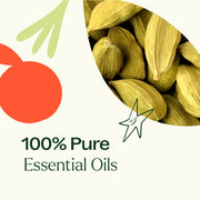 Plant Therapy Self Manifestation (Solar Plexus Chakra) Essential Oil Essential Oil