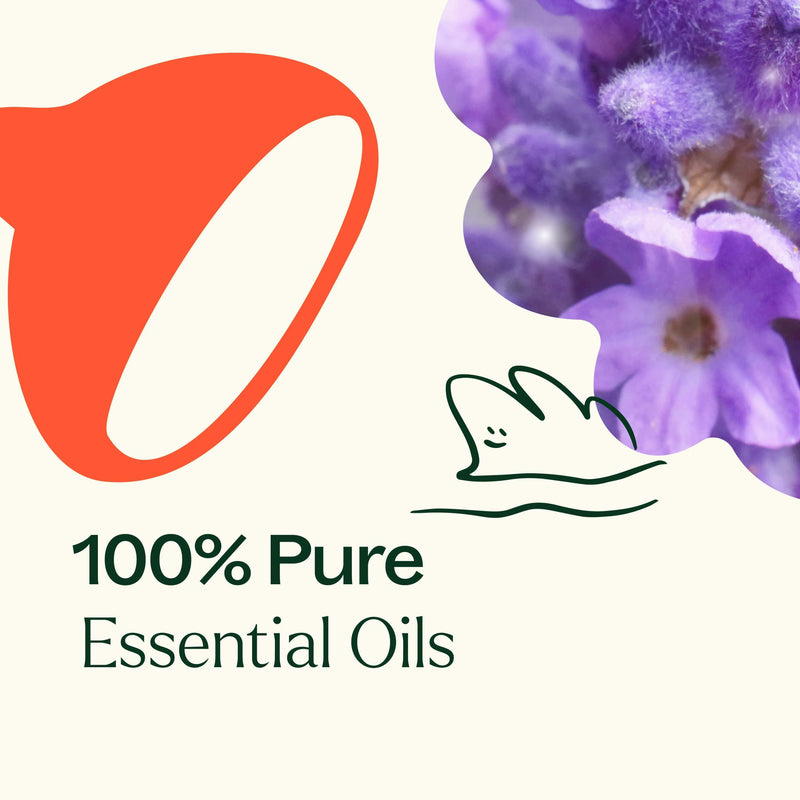 Plant Therapy Sensual Essential Oil Blend Essential Oil