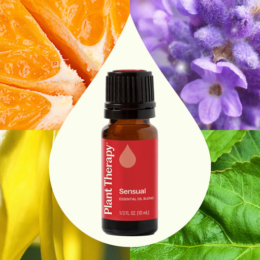 Plant Therapy Sensual Essential Oil Blend Essential Oil