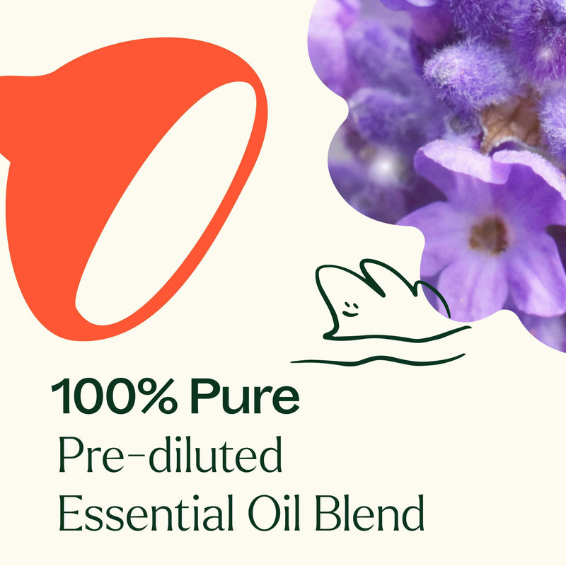 Plant Therapy Sensual Essential Oil Blend Pre-Diluted Roll-On Essential Oil