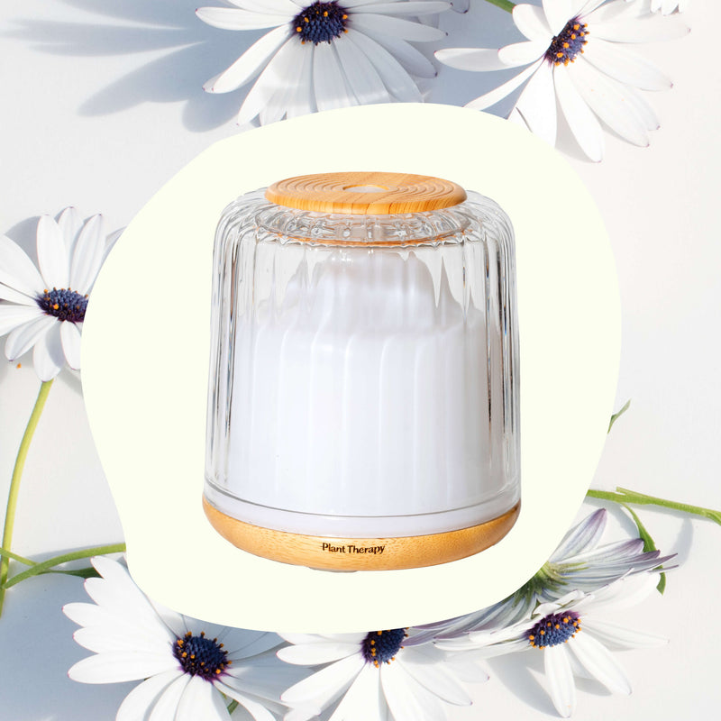 Plant Therapy Serenity Glass Diffuser Diffuser