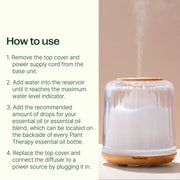 Plant Therapy Serenity Glass Diffuser Diffuser