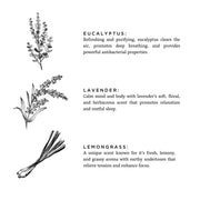 Slow North Shangri-La - Signature Candle (Eucalyptus + Lavender + Lemongrass) Frosted Candles