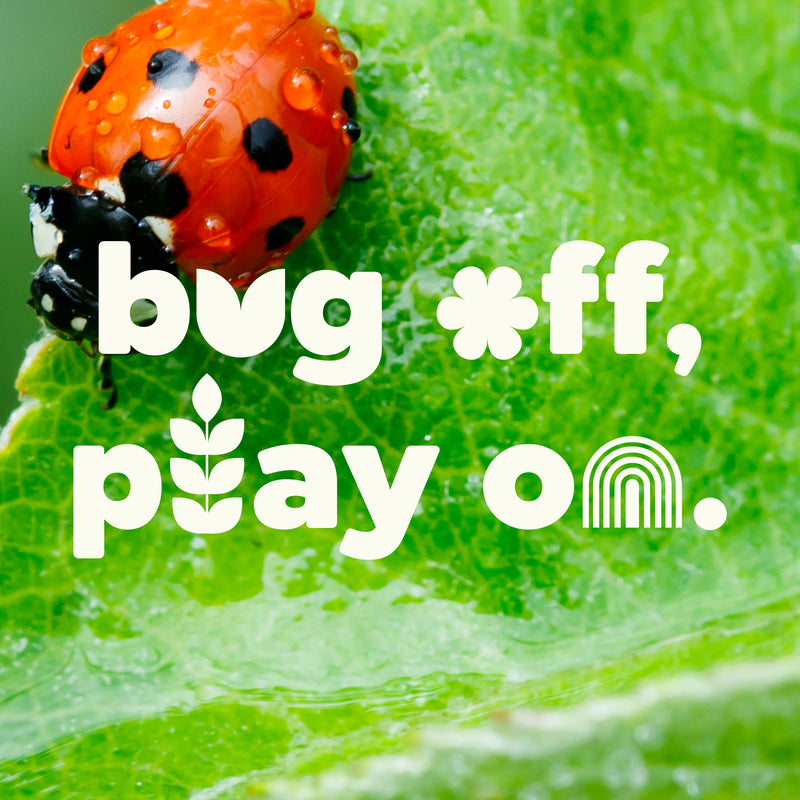 Plant Therapy Shield Me Essential Oil Essential Oil