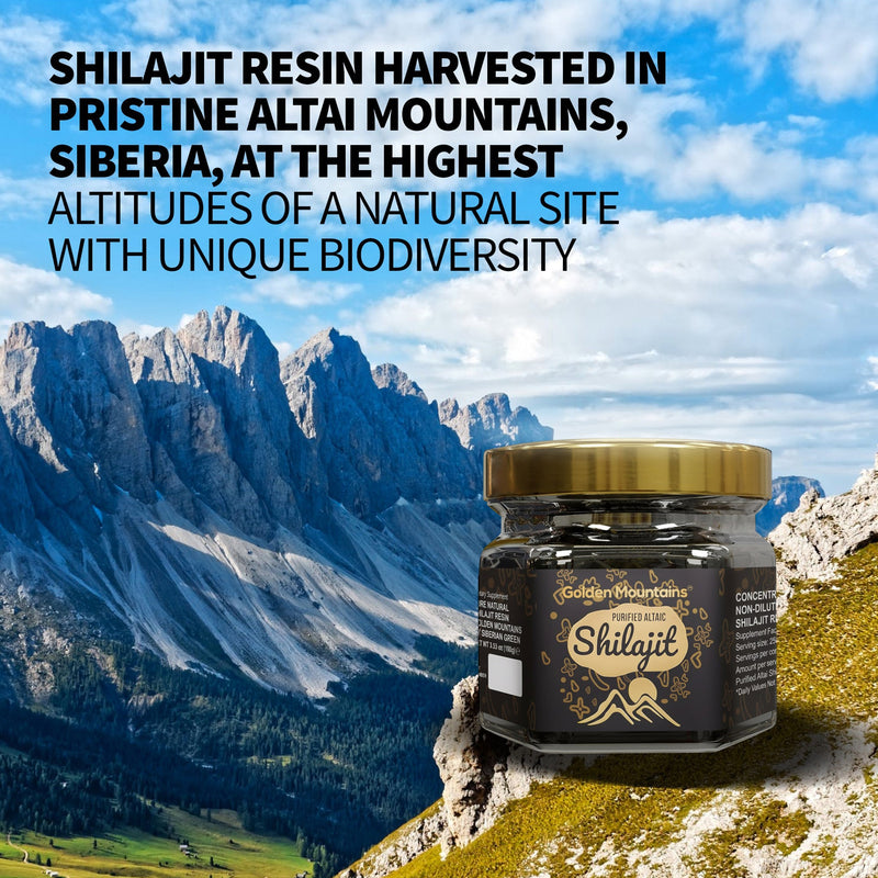 SiberianGreen.com Golden Mountains Shilajit Resin 100g: Pure Altai Mountains Shilajit by Siberian Green Body Wash