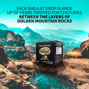 SiberianGreen.com Golden Mountains Shilajit Resin 100g: Pure Altai Mountains Shilajit by Siberian Green Body Wash