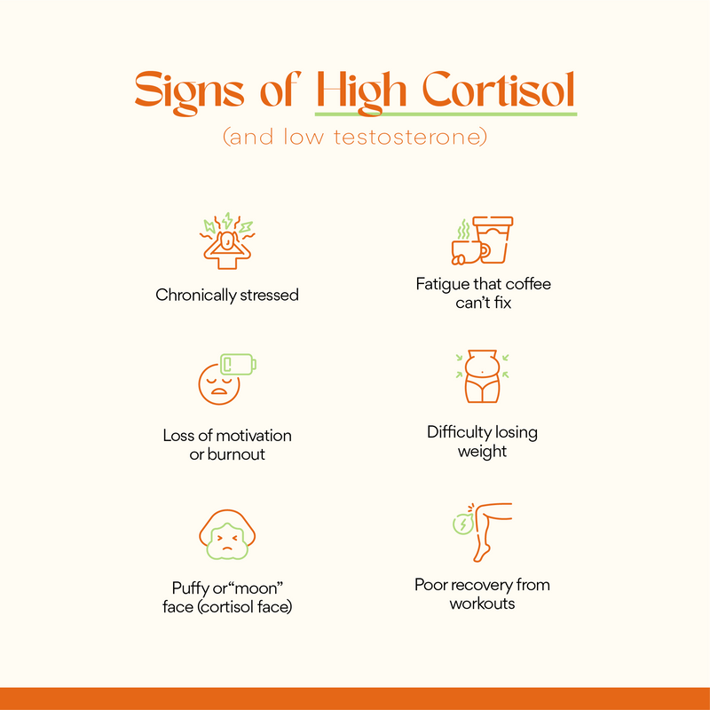 ALORI Cortisol, Who?