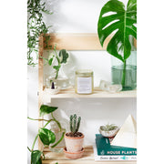 Butter Me Up Organics Skin Save Salve / Organic / Herbal Fungal Salve / Anti Fungal / Antibacterial Body