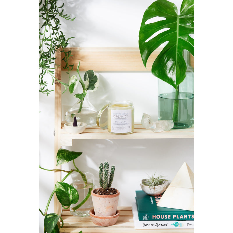 Butter Me Up Organics Skin Save Salve / Organic / Herbal Fungal Salve / Anti Fungal / Antibacterial Body