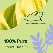 Plant Therapy Sleep Aid Essential Oil Blend Essential Oil Light Goldenrod 10 mL