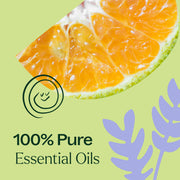 Plant Therapy Sleep Tight Essential Oil Blend Essential Oil