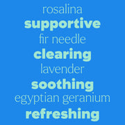 Plant Therapy Sneezy Stop Essential Oil Essential Oil