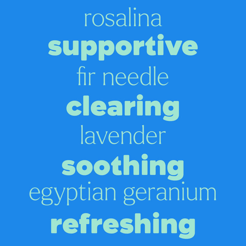 Plant Therapy Sneezy Stop Essential Oil Essential Oil