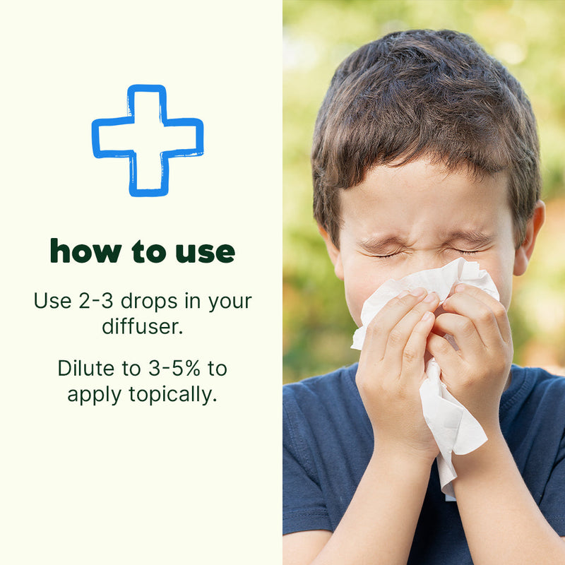 Plant Therapy Sniffle Stopper Essential Oil Essential Oil