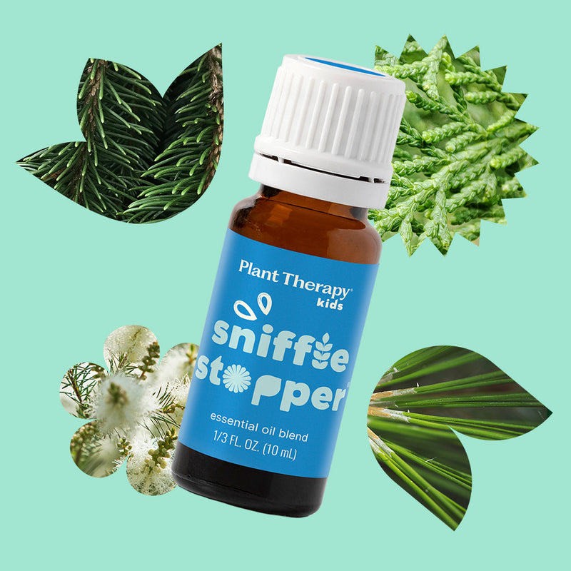 Plant Therapy Sniffle Stopper Essential Oil Essential Oil