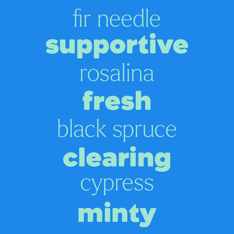 Plant Therapy Sniffle Stopper Essential Oil Essential Oil