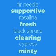 Plant Therapy Sniffle Stopper Essential Oil Pre-Diluted Roll-On Essential Oil Dodger Blue 10 mL