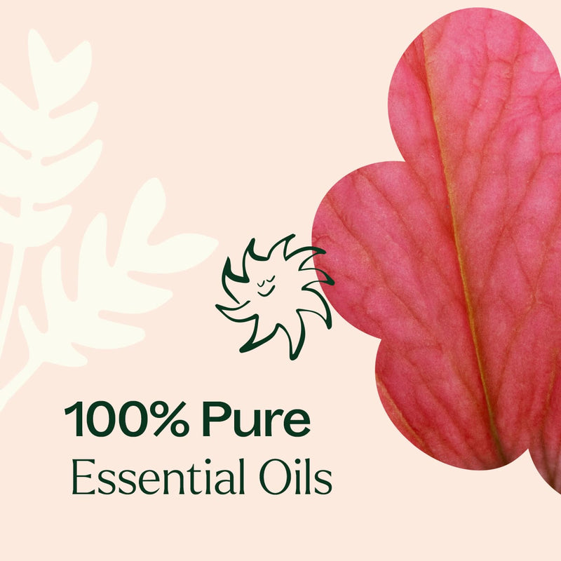 Plant Therapy Soft Skin Essential Oil Blend Essential Oil