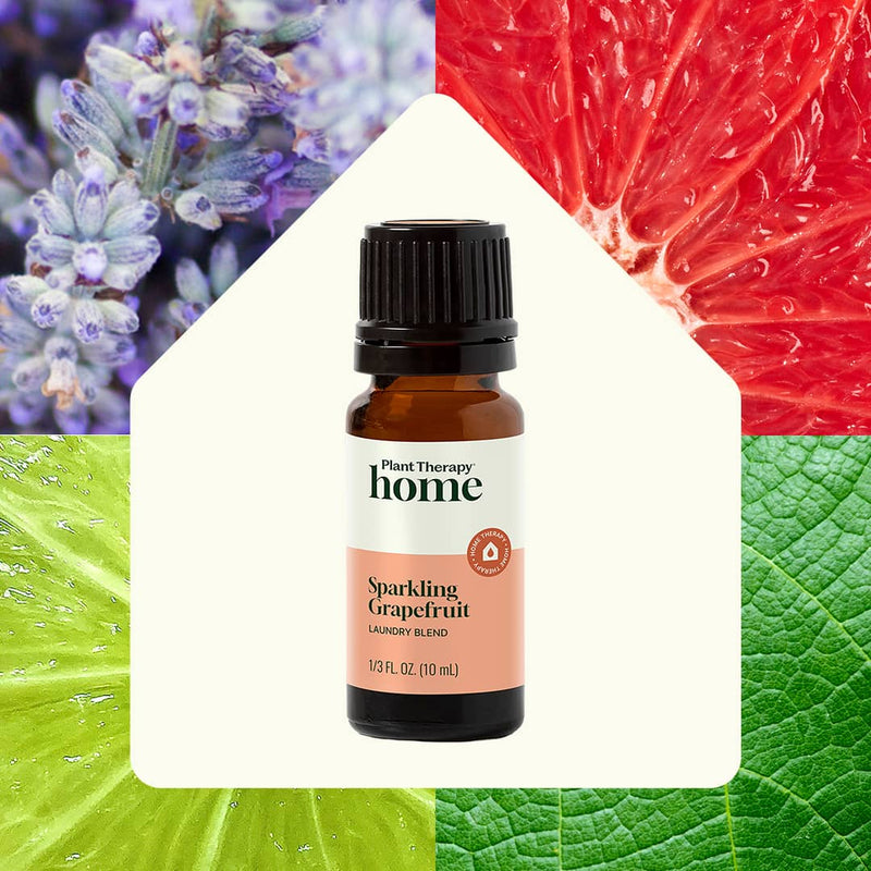 Plant Therapy Sparkling Grapefruit Laundry Essential Oil Blend Household